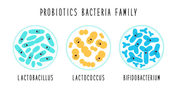 probiotic strains